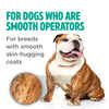 TropiClean PerfectFur Smooth Coat Shampoo for Dogs 16 oz