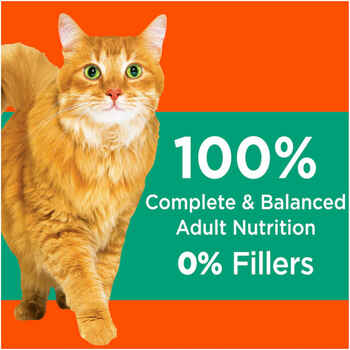 Iams ProActive Health Hairball Care Recipe Dry Cat Food 16 lb