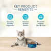 Blue Buffalo BLUE Basics Adult Skin & Stomach Care Grain-Free Indoor Duck and Potato Recipe Dry Cat Food 5 lb Bag