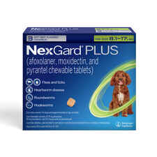 NexGard® PLUS CHEWS for Dogs-product-tile