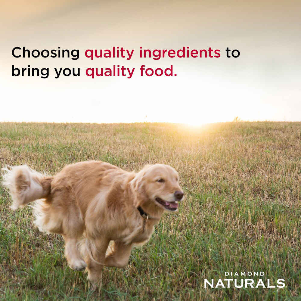Diamond Naturals Small & Medium Breed Puppy Chicken & Rice Formula Dry Dog Food