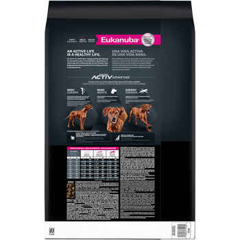 Eukanuba Adult Large Breed Dry Dog Food 16 lb Bag