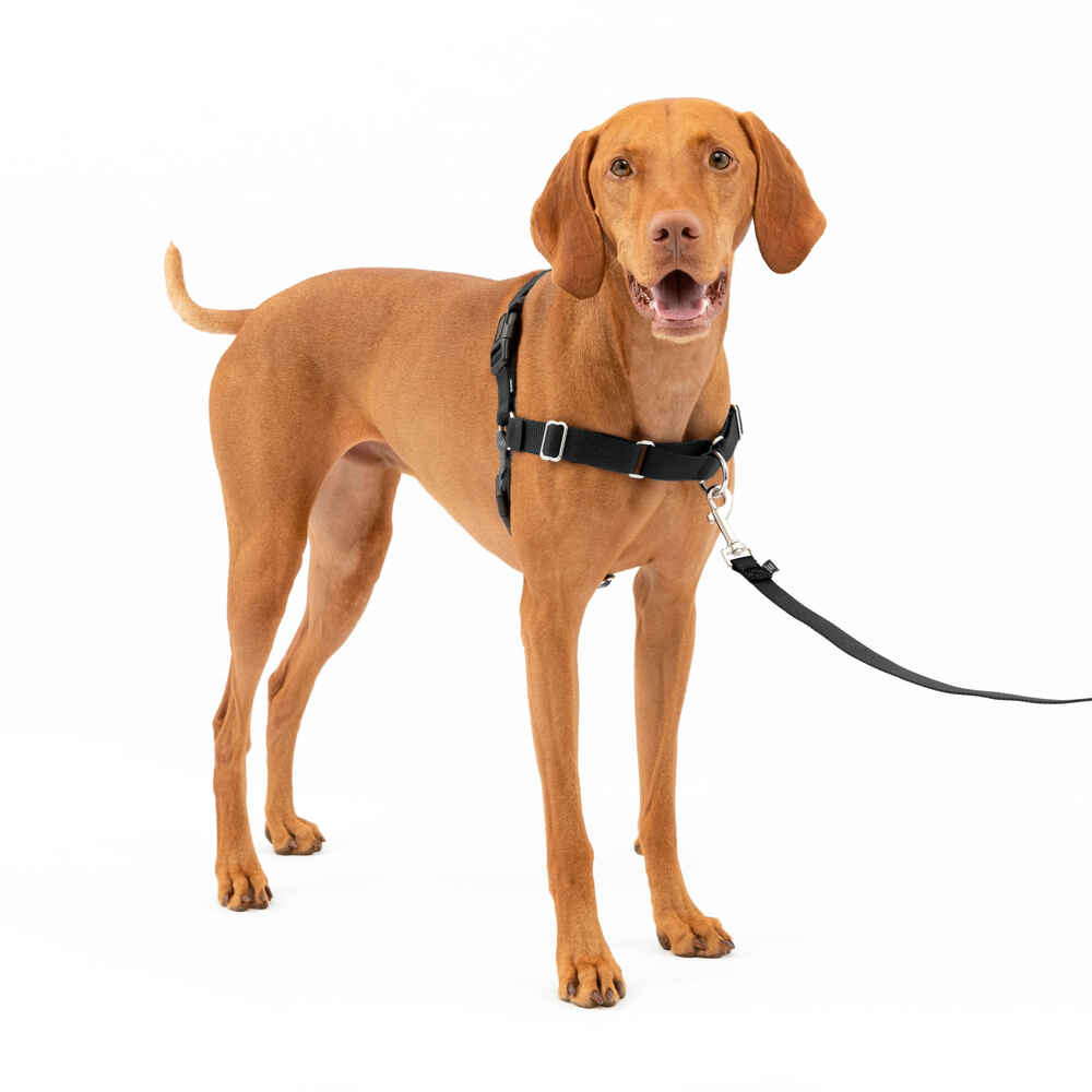 PetSafe Easy Walk Harness No Pull Dog Harness