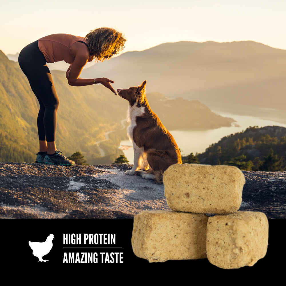 ORIJEN Regional Red Freeze-Dried Dog Treats