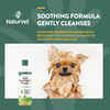 NaturVet Hemp Hypoallergenic Shampoo with Oat and Aloe for Dogs 16 oz