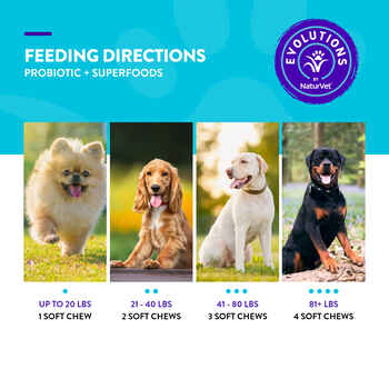 Evolutions by NaturVet Probiotic +Superfoods Soft Chews 90ct