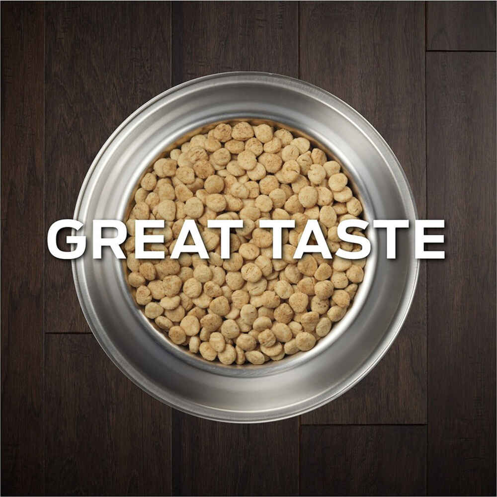 Purina Pro Plan Veterinary Diets HA Hydrolyzed Chicken Flavor Canine Formula Dry Dog Food