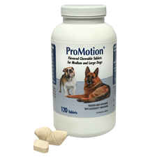 ProMotion For Medium Large Dogs-product-tile