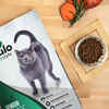 Nulo FreeStyle Senior Grain-Free Alaska Pollock, Duck & Sweet Potato Dry Cat Food 5 lb Bag
