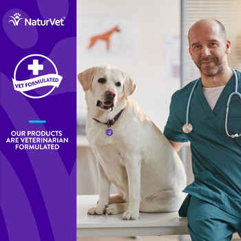 Evolutions by NaturVet Advanced Joint Soft Chews 90ct