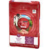 Purina ONE +Plus Healthy Puppy Formula High Protein Natural Chicken Dry Puppy Food 16.5 lb Bag