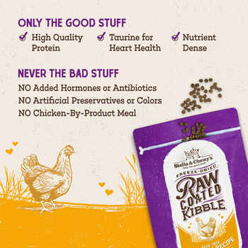 Stella & Chewy's Chicken Flavored Raw Coated Cage Free Dry Cat Food