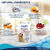Forza10 Nutraceutic Active DepurA Diet Fish Dry Dog Food 6 lb Bag