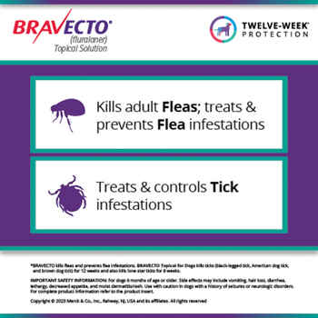 Bravecto Topical for Dogs Small Dog 9.9-22 lbs 1 dose