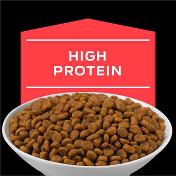 Purina Pro Plan Veterinary Diets DM Dietetic Management Feline Formula Dry Cat Food - 3.5 lb. Bag