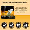 Pet Honesty Allergy Skin Health Salmon Flavored Soft Chews Skin & Coat Allergy Supplement for Dogs