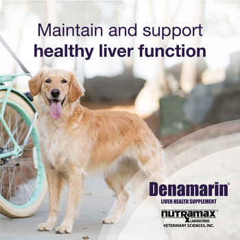 Nutramax Denamarin Liver Health Supplement - With S-Adenosylmethionine (SAMe) and Silybin Small Dogs, 30 Tablets