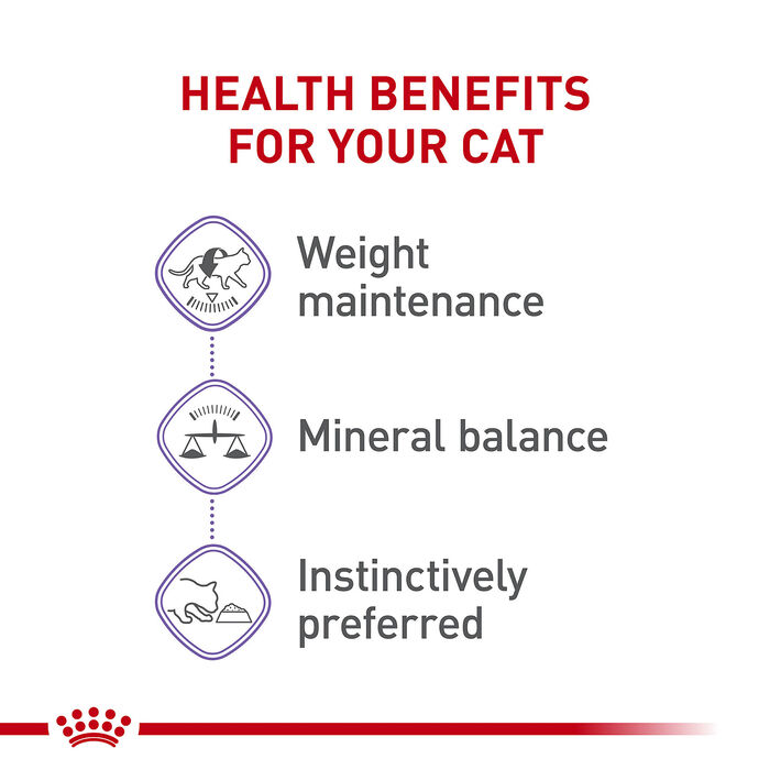 Royal Canin Feline Health Nutrition Spayed / Neutered Thin Slices in Gravy Adult Wet Cat Food