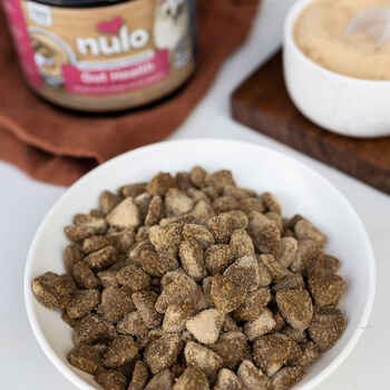 Nulo Functional Powder Gut Health Supplement for Cats 4.2 oz Jar