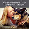 Diamond Care Adult Sensitive Stomach Dog Food