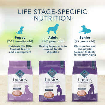 Blue Buffalo BLUE Basics Small Breed Adult Skin & Stomach Care Turkey & Potato Recipe Dry Dog Food 4 lb Bag