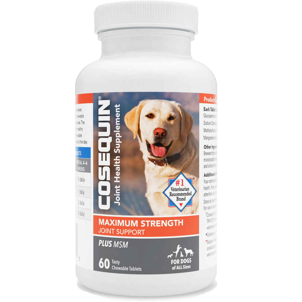 Can A Dog Overdose On Msm