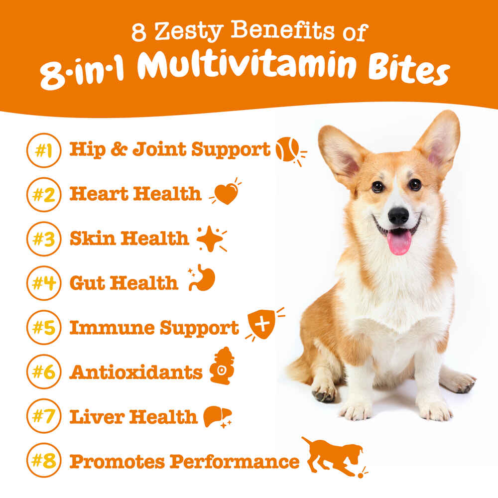 Zesty Paws 8-in-1 Multivitamin Bites Soft Chew Supplement for Dogs