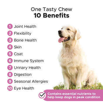 Pet Honesty Multivitamin 10-in-1 Peanut Butter Flavored Soft Chews Daily Vitamin Supplement for Dogs