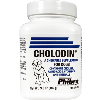 choline dosage for dogs