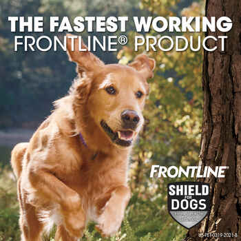Frontline Shield 81-120 lbs, 3 pack