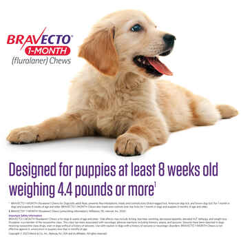 Bravecto 1-Month Chews Toy Dog (4.4-9.9 lbs) 1 pk
