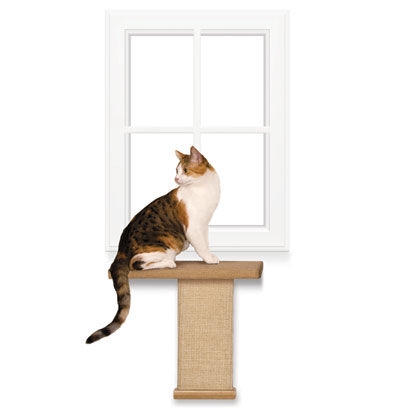 smartcat sky climber