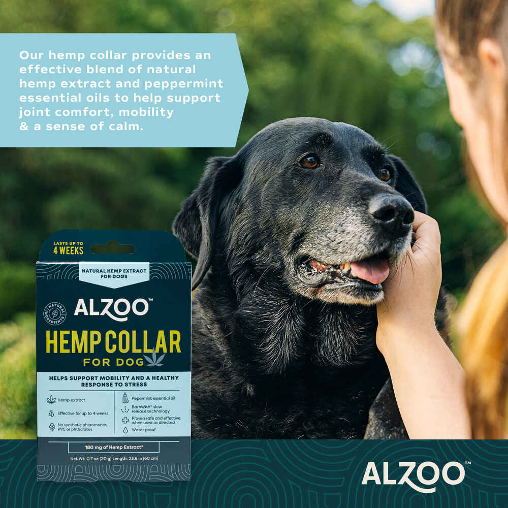 Alzoo Plant-Based Hemp Premium Mobility + Calming Collar for Dogs