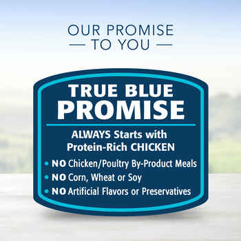 Blue Buffalo BLUE Delights Adult Grilled Chicken Flavor in Savory Juices Small Breed Wet Dog Food 3.5 oz Cup - Case of 12