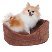 Teacup Dog Bed