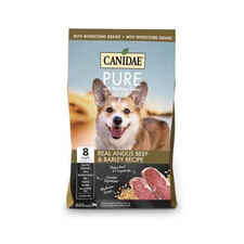 Canidae PURE With Wholesome Grains Dry Dog Food with Beef & Barley-product-tile