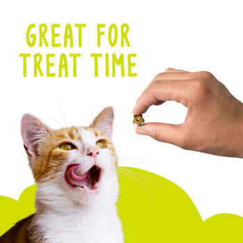 Friskies Party Mix Morning Munch Cat Treats 2.1 oz Pouch