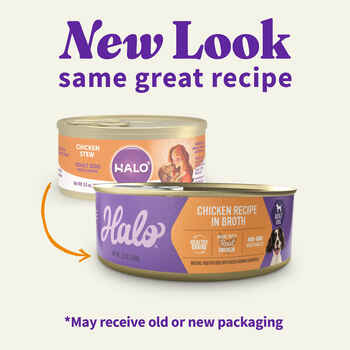 Halo Holistic Chicken Recipe in Broth Wet Dog Food 12 5.5oz cans