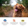 NaturVet All-in-One Dog Supplement for Dogs Soft Chews 60 ct