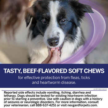 NexGard® PLUS CHEWS For Dogs 4 to 8 lbs. (Orange Box) 1 Chew (1 Month Supply)