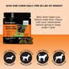 Pet Honesty Hemp Hip + Joint Health Duck Flavored Soft Chews Joint & Mobility Supplement for Dogs