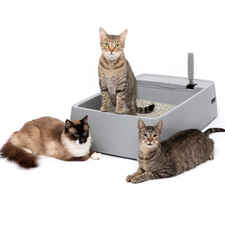 PetSafe Multi-Cat Litter Box-product-tile
