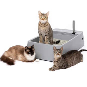 PetSafe Multi-Cat Litter Box  product detail number 1.0
