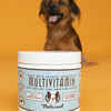 Natural Dog Company Multivitamin Supplement Chews 90ct
