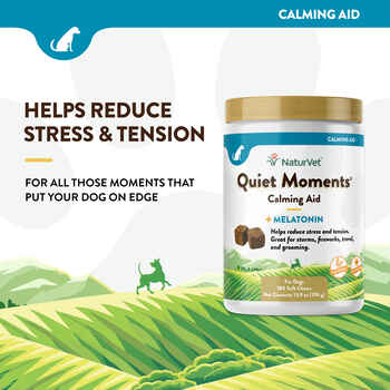 NaturVet Quiet Moments Calming Aid Plus Melatonin Supplement for Dogs Soft Chews 180 ct