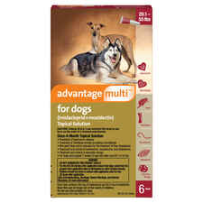 Advantage Multi 6pk Dogs 20-55 lbs-product-tile