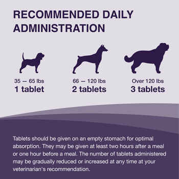 Nutramax Denamarin Liver Health Supplement - With S-Adenosylmethionine (SAMe) and Silybin Medium Dogs, 30 Tablets