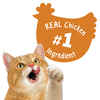 Friskies Party Mix Chicken Lovers Crunch Cat Treats 20 oz Canister