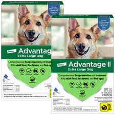 Advantage II 12pk Dog Over 55 lbs-product-tile