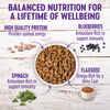 Wellness Complete Health Small Breed Adult Turkey & Oatmeal Recipe Dry Dog Food 4 lb Bag
